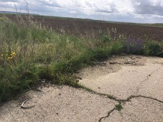 Terreno en venta en Torrejón de la Calzada