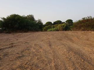 Solar en venta en Sotogrande Alto en San Roque