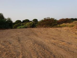 Solar en venta en Sotogrande Alto en San Roque