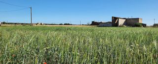 Terreno en venta en Campos