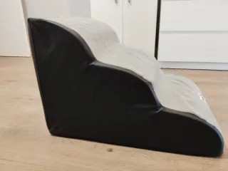 Rampa para mascotas (aconsejado para perros Teckel