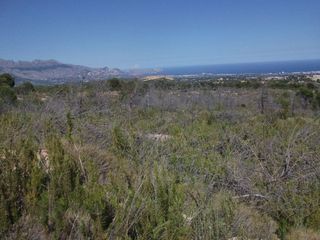 Terreno en venta en Nucia (la)