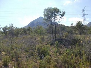 Terreno en venta en Nucia (la)