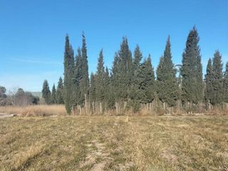 Solar en venta en Parque de la Bombilla-Pla de Rascanya en Llíria