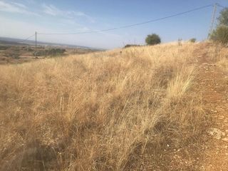 Solar en venta en Molar (El)