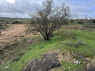 Terreno en venta en Arcos de la Frontera