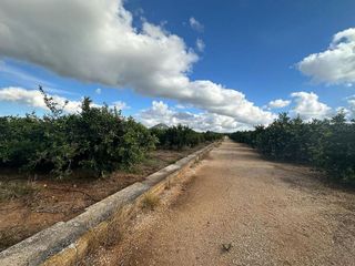 Terreno en venta en Ondara