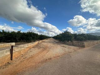 Terreno en venta en Ondara