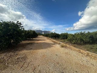 Terreno en venta en Ondara