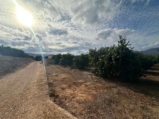 Terreno en venta en Ondara