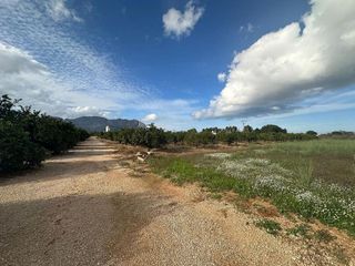 Terreno en venta en Ondara