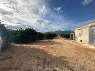 Terreno en venta en Ondara
