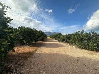 Terreno en venta en Ondara