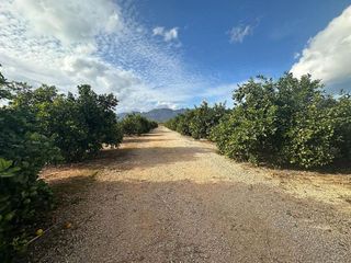 Terreno en venta en Ondara