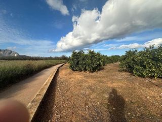 Terreno en venta en Ondara