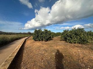 Terreno en venta en Ondara