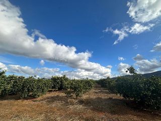 Terreno en venta en Ondara