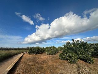 Terreno en venta en Ondara