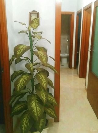 Piso en venta en Parque María Luisa - Huerta de la Salud - Giralda Sur en Sevilla