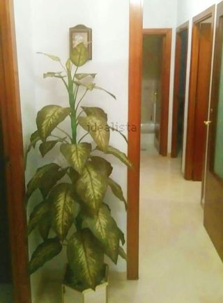 Piso en venta en Parque María Luisa - Huerta de la Salud - Giralda Sur en Sevilla