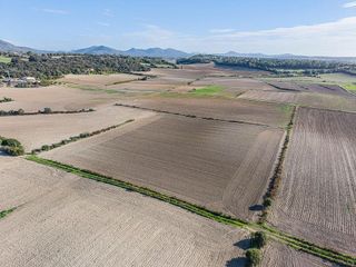 Solar en venta en Manacor Centro en Manacor