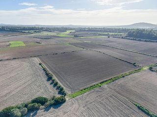 Solar en venta en Manacor Centro en Manacor