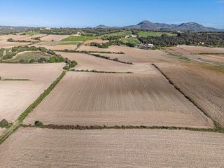 Solar en venta en Manacor Centro en Manacor