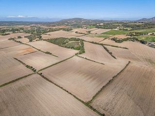 Solar en venta en Manacor Centro en Manacor