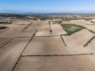 Solar en venta en Manacor Centro en Manacor