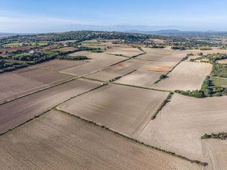 Solar en venta en Manacor Centro en Manacor