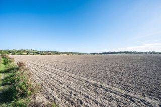 Solar en venta en Manacor Centro en Manacor