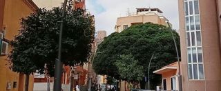 Local comercial en venta en Zona Centro-Corredera en Lorca