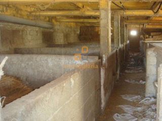 Nave industrial en venta en Huércal-Overa