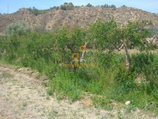 Nave industrial en venta en Huércal-Overa