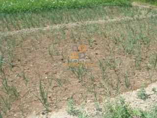 Nave industrial en venta en Huércal-Overa