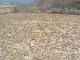 Nave industrial en venta en Huércal-Overa