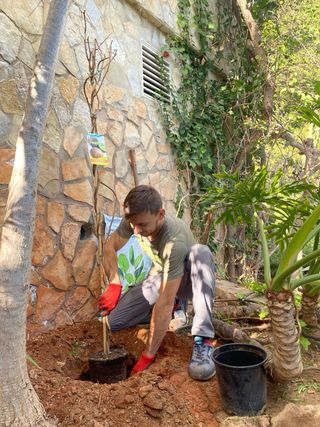 Servicios de Jardinería Profesional