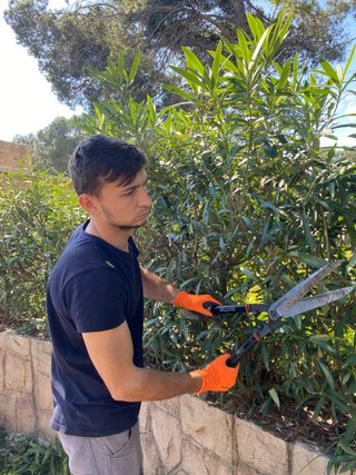 Jardinero Profesional en Castellón