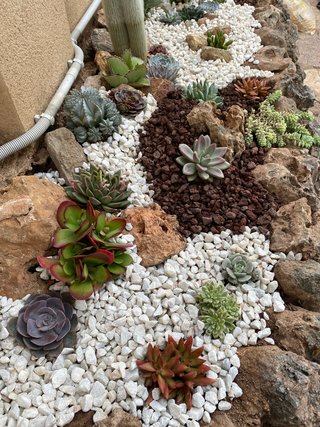 Jardinero Profesional en Castellón