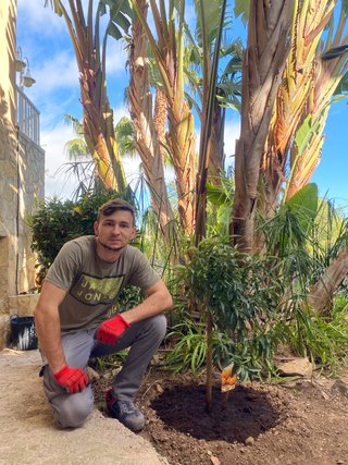 Jardinero Profesional en Castellón