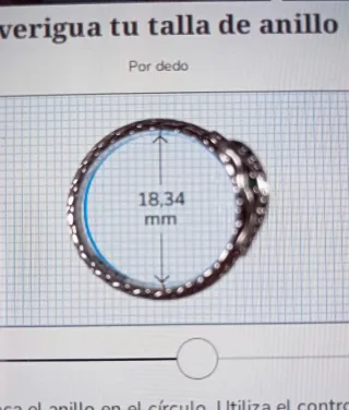 Anillo serpiente dos cabezas.