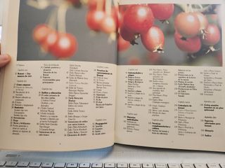 El libro del Bonsai: La guía definitiva para lo...