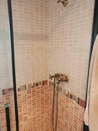 Grifo de lavabo, bidet y ducha