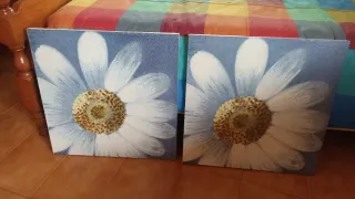 Set 2 Cuadros Flores Blancas Azul