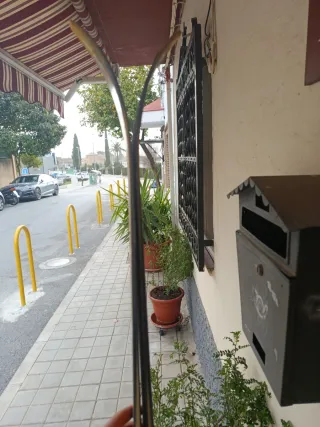 Esquís Rossignol 75