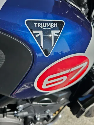 Triumph Trident 660 Triple Tribute 2024
