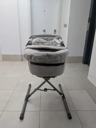 Carrito y Capazo Inglesina Aptica Gris