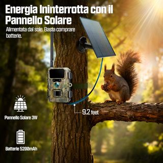 Fototrappola 4G LTE con Pannello Solare
