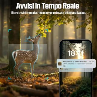 Fototrappola 4G LTE con Pannello Solare