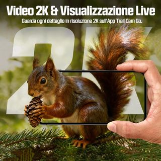 Fototrappola 4G LTE con Pannello Solare